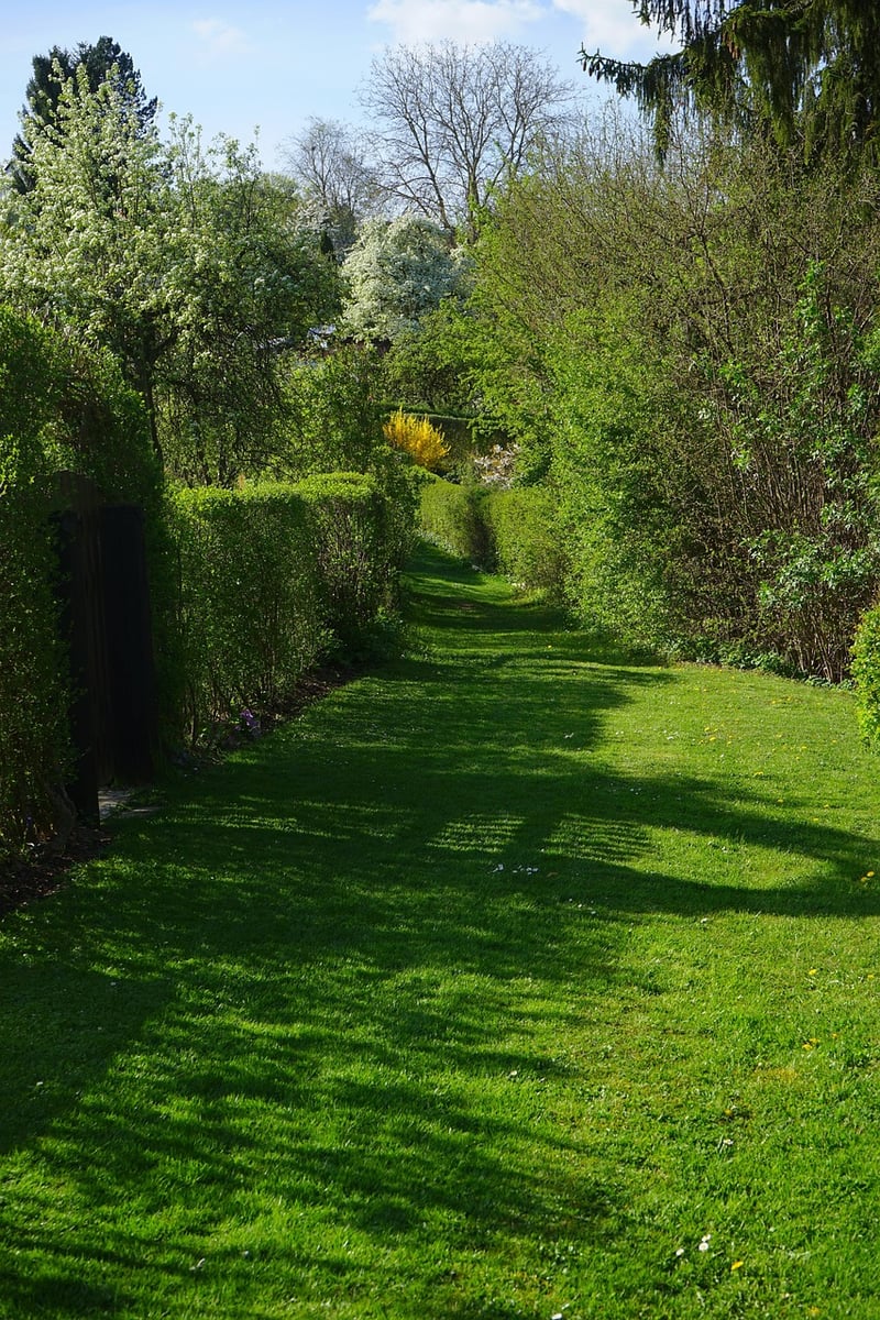 Neighborhood Allotments