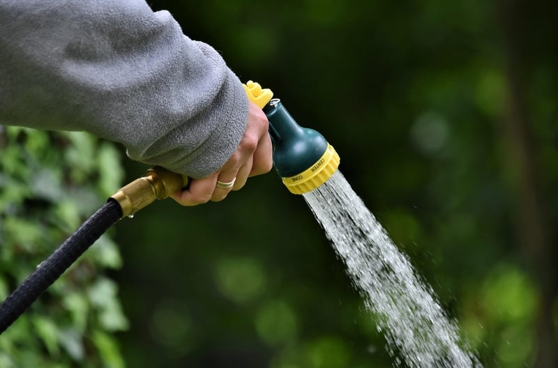Compact Watering Can